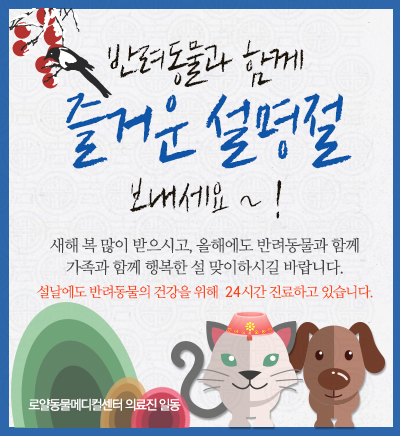 로얄동물병원.jpg